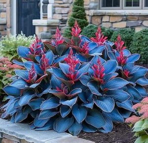 Хоста Грин Фог купить по цене от 669р. в интернет-магазине «Посадика» с доставкой почтой в в Киришие и по всей России – [изображение №1].