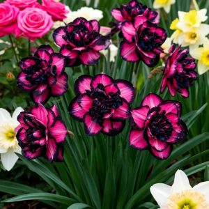 Нарцисс Золотая Корона купить по цене от 2000р. в интернет-магазине «Посадика» с доставкой почтой в в Киришие и по всей России – [изображение №1].