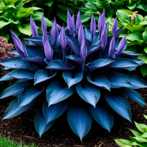 Хоста Сикрет Гров купить по цене от 570р. в интернет-магазине «Посадика» с доставкой почтой в в Киришие и по всей России – [изображение №1].