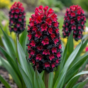 Гиацинт Джем Стоун купить по цене от 2099р. в интернет-магазине «Посадика» с доставкой почтой в в Киришие и по всей России – [изображение №1].