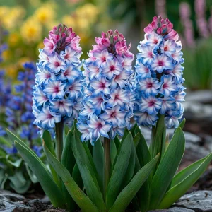 Гиацинт Пинк Мари купить по цене от 2099р. в интернет-магазине «Посадика» с доставкой почтой в в Киришие и по всей России – [изображение №1].