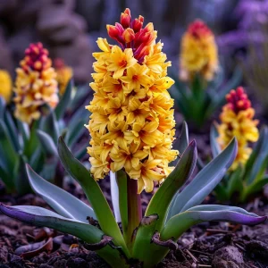 Гиацинт Миднайт Мистери купить по цене от 2099р. в интернет-магазине «Посадика» с доставкой почтой в в Киришие и по всей России – [изображение №1].