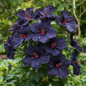 Гибискус Мэджик Момент купить по цене от 699р. в интернет-магазине «Посадика» с доставкой почтой в в Киришие и по всей России – [изображение №1].