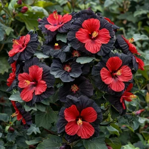 Гибискус Шиммеринг купить по цене от 720р. в интернет-магазине «Посадика» с доставкой почтой в в Киришие и по всей России – [изображение №1].