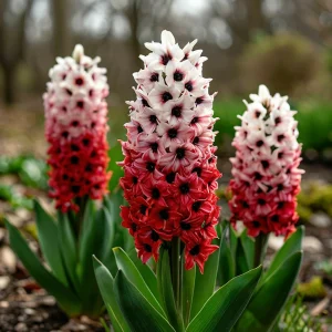 Гиацинт Скай Гарден купить по цене от 2099р. в интернет-магазине «Посадика» с доставкой почтой в в Киришие и по всей России – [изображение №1].