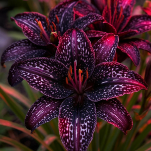 Лилейник Вояж купить по цене от 699р. в интернет-магазине «Посадика» с доставкой почтой в в Киришие и по всей России – [изображение №1].